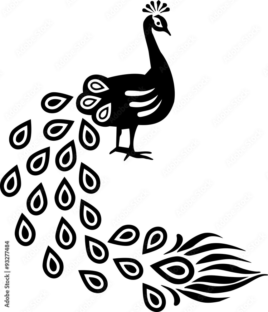 Obraz premium Peacock with long feather tail