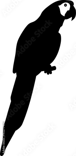 Parrot silhouette