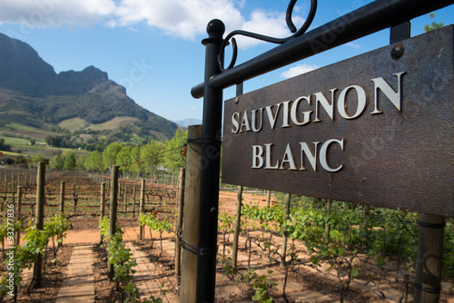 Wineyard Sauvignon Blanc