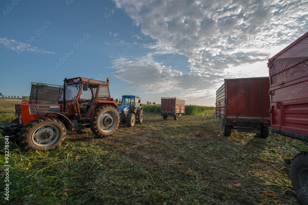 Obraz premium farmers harvesting in the field
