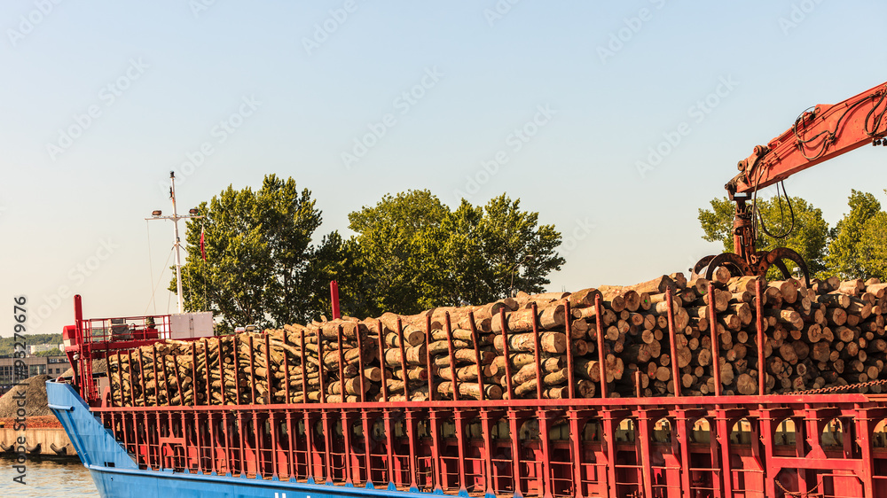 pile of logs at the port ready for loading to ships