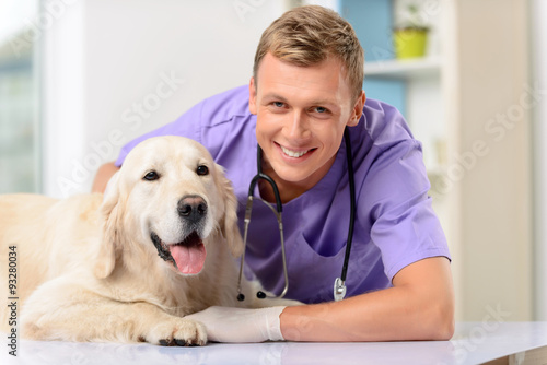 Professional vet examining a dog  photo