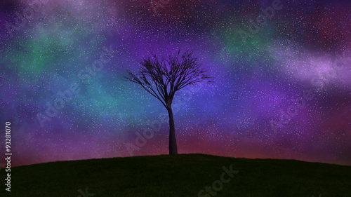 Tree Growing, Time-Lapse night to day