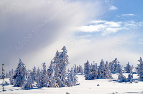 Winter landscape on a sunny day in the Giant Mountains in Poland.