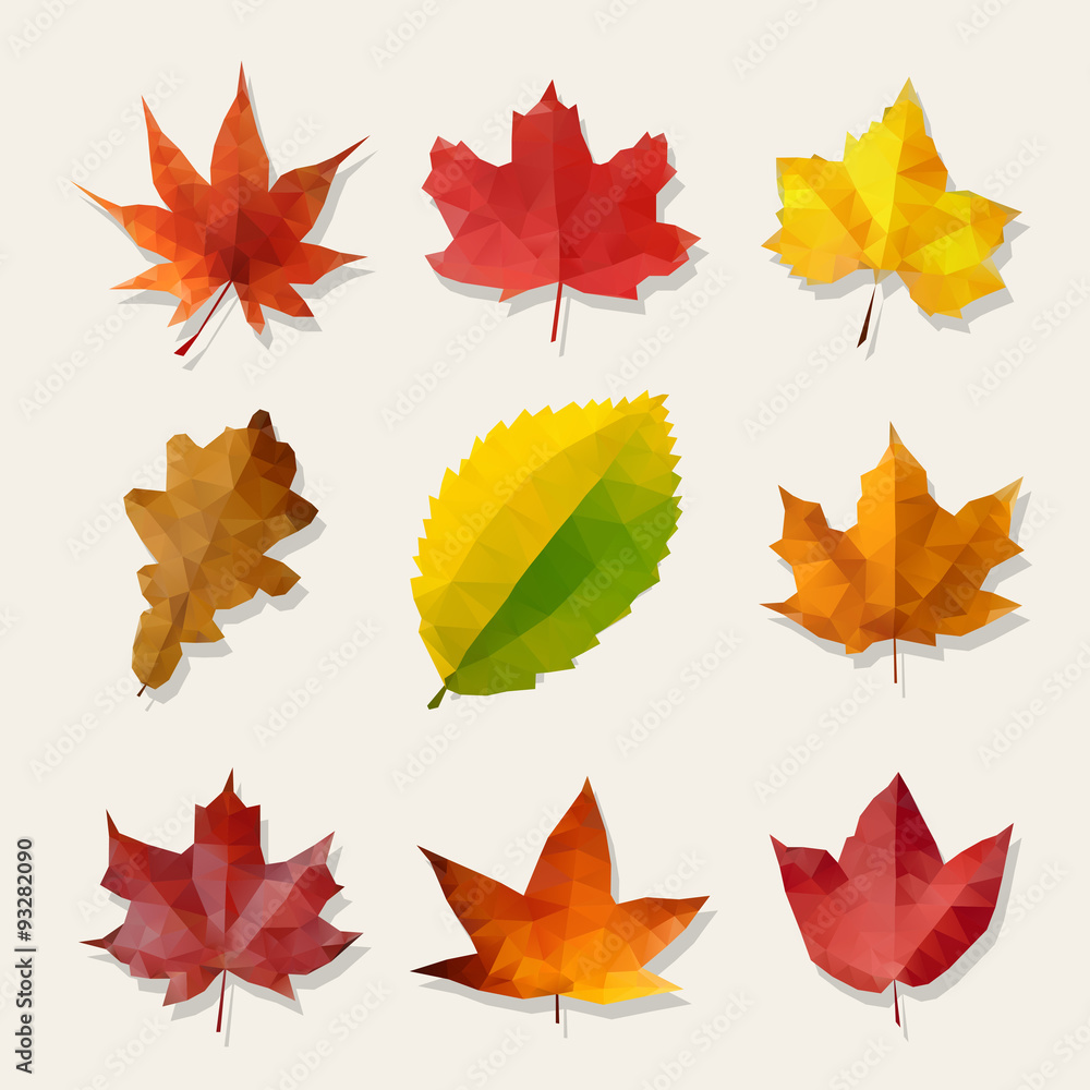 Fototapeta premium Set of Nine Vector Low Poly Autumn Leaves