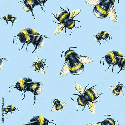 Bumblebee on a light blue background. Watercolor drawing. Insects art. Handwork. Seamless pattern © MargaritaSh