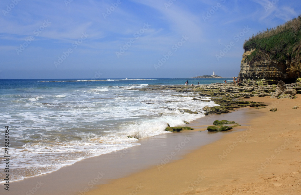 Trafalgar, Barabate, Caños de Meca. Rocas en el mar, Cádiz,	Vista de playa con mar azul intenso, arena clara, hierba, arbustos y campo, cielo azul y despejado
, Cádiz,  flores en Primavera
