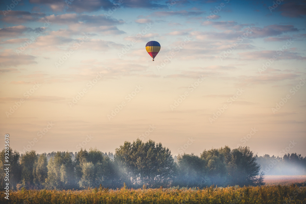 Obraz premium hot air balloon flying over forest at early morning
