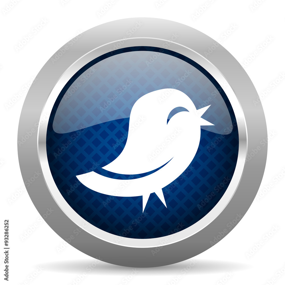 twitter blue circle glossy web icon on white background, round button for internet and mobile app twitter blue circle glossy web icon on white background, round button for internet and mobile app