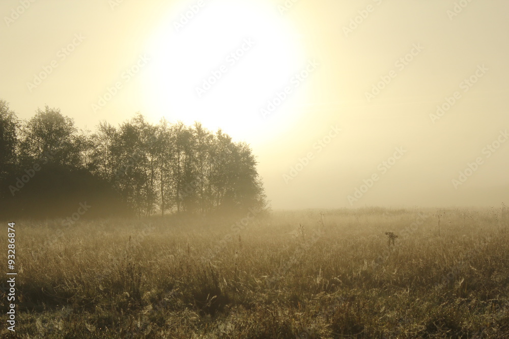 Foggy landscape early in the morning