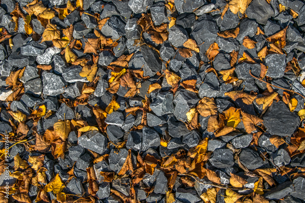 autumn background leaves and stone autumn background leaves and stone