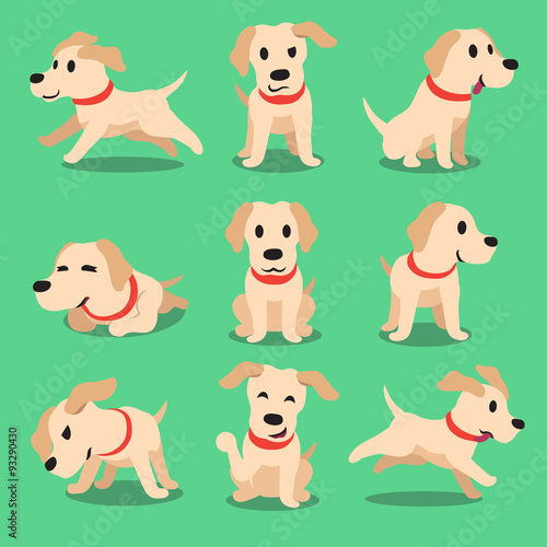 Cartoon character labrador dog poses