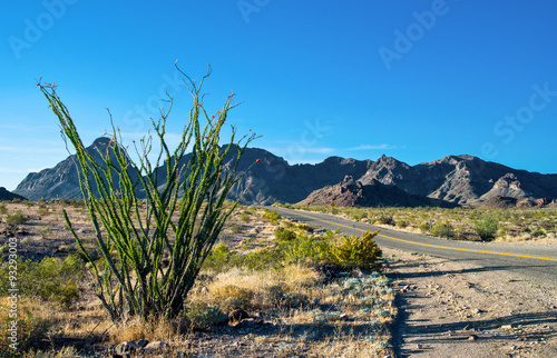 U.S.A. Arizona, the Route 66 towards the California border