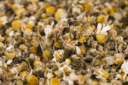 Dried Camomile (background image)
