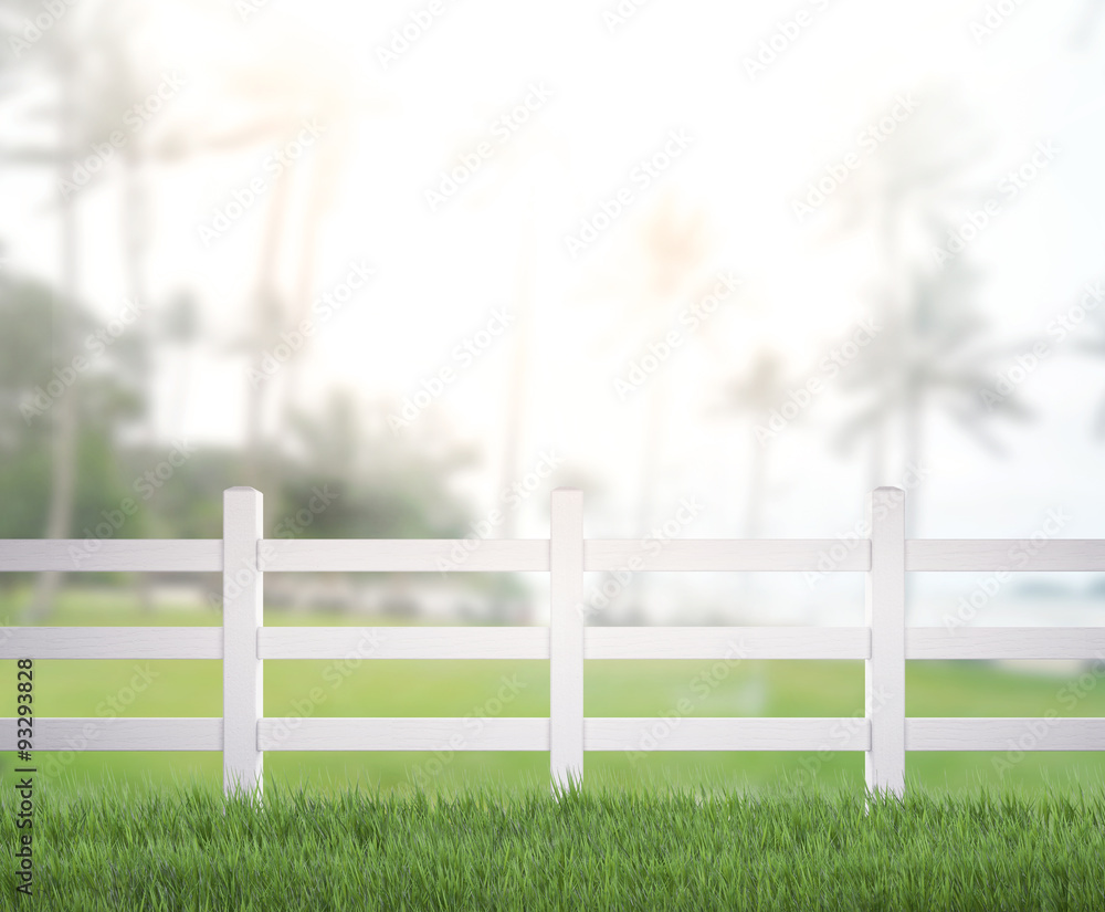 Fototapeta premium Table Top And Blur Nature of Background