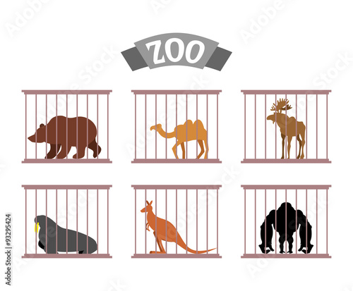 Zoo. Collection of wild animals in cages. Beasts behind bars. Be