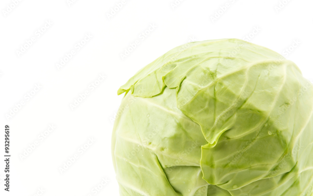 Fototapeta premium Fresh cabbage
