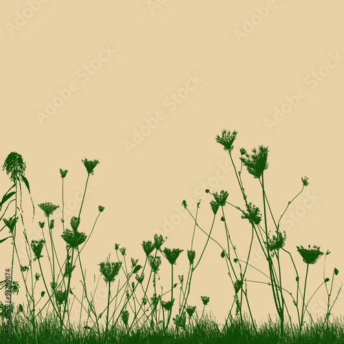 Natural wild plants on grass silhouette on retro style background, vector illustration