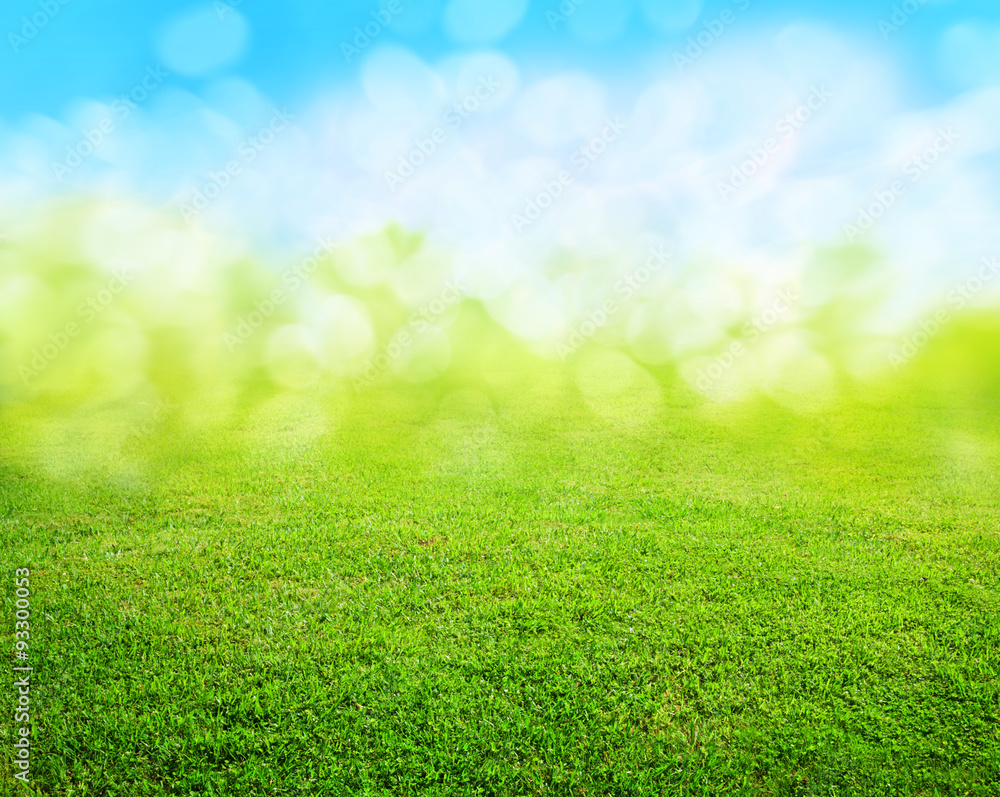 grass background Stock Photo | Adobe Stock