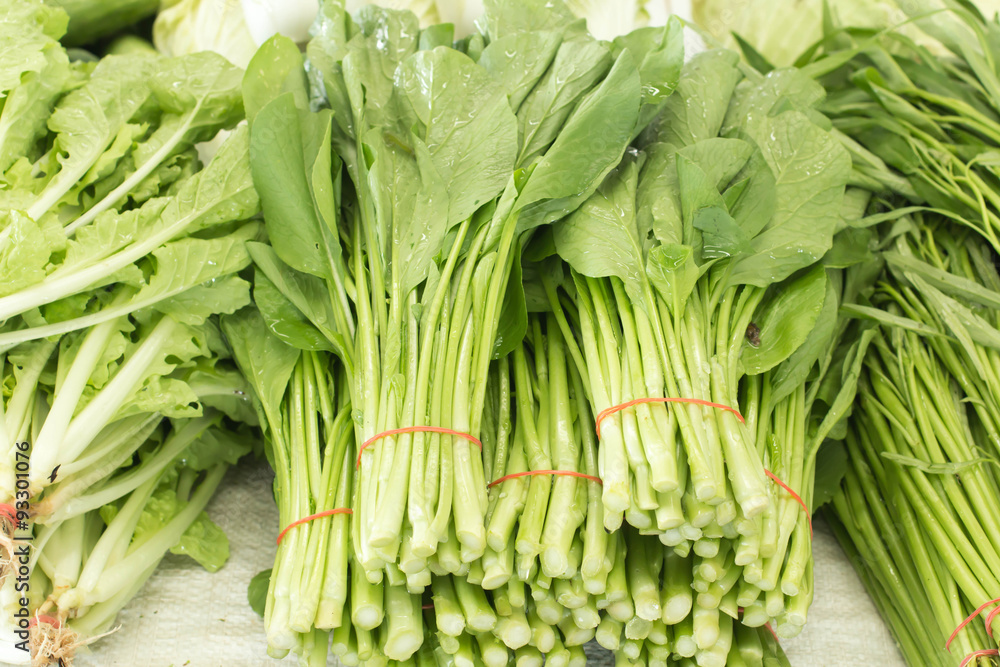 Spring Onions also known as Salad Onions, Scallions or Green Onions on the market Spring Onions also known as Salad Onions, Scallions or Green Onions on the market