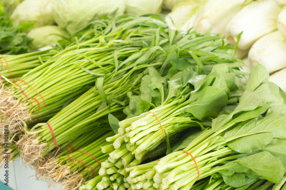 Spring Onions also known as Salad Onions, Scallions or Green Onions on the market Spring Onions also known as Salad Onions, Scallions or Green Onions on the market