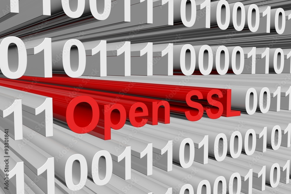 Open SSL is presented in the form of binary code