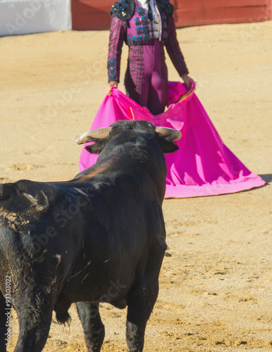 Spanish bullfighter