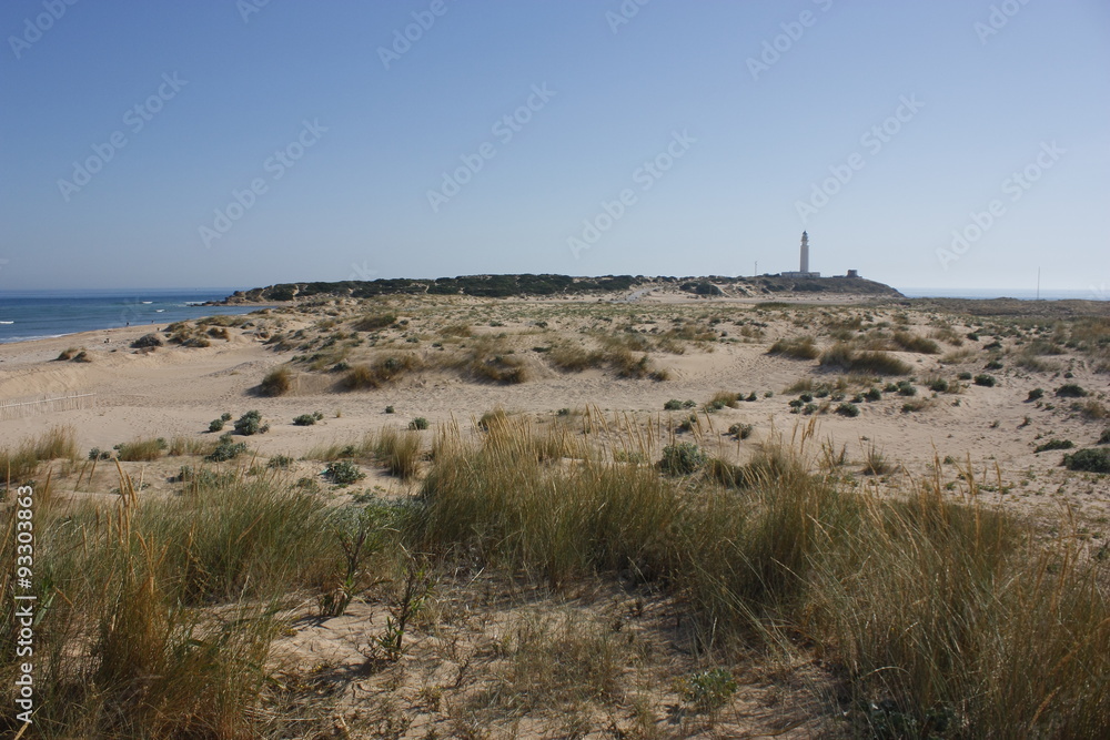 Vista de edificación en la isla de Sancti Petri. Cádiz.
