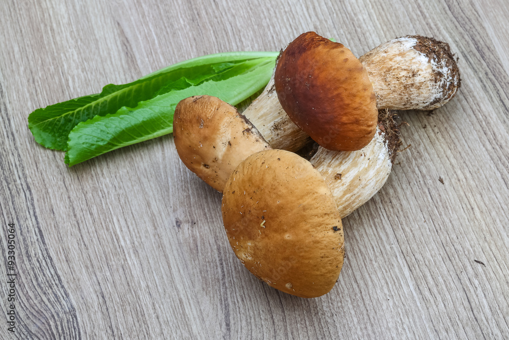 Mushrooms Mushrooms