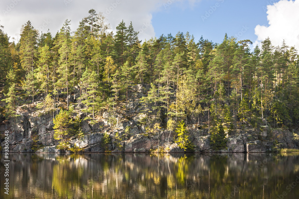 Forest on top of a cliff aside lake