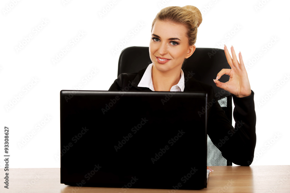 Young smile businesswoman behind the desk, using laptop Young smile businesswoman behind the desk, using laptop