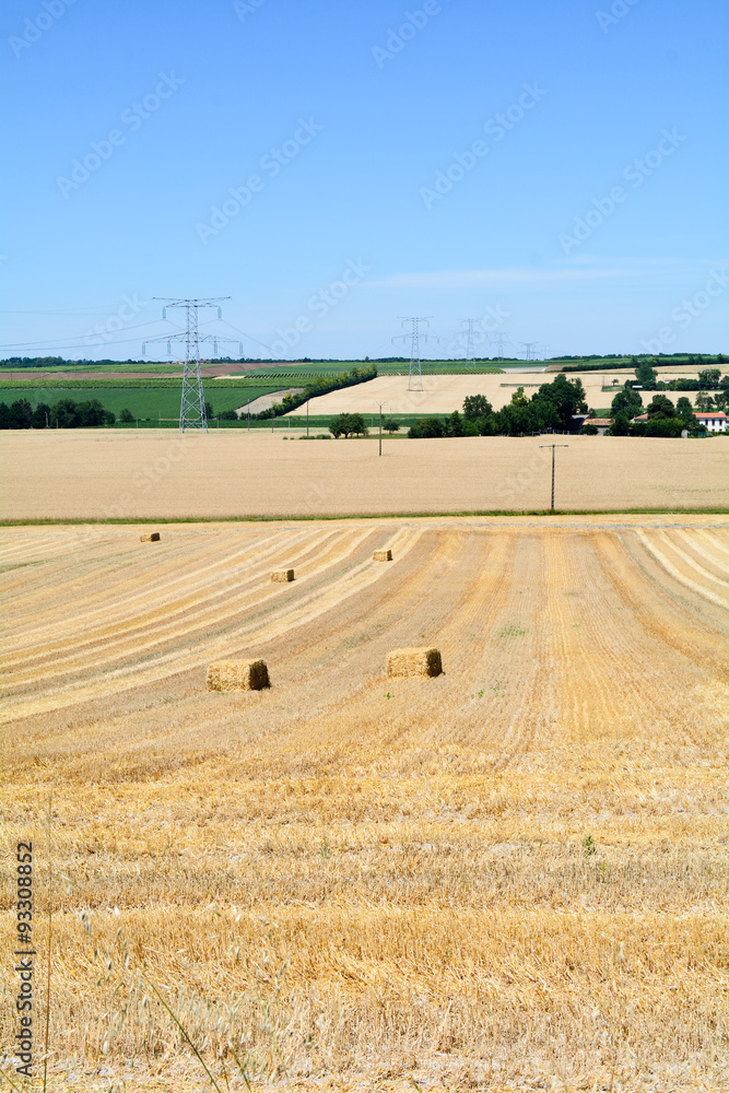Obraz premium Hay bales in field in French countryside