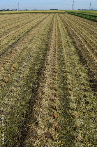 収穫後の田園風景／山形県の庄内地方で、稲の収穫作業が終わった田園風景を撮影した写真です。