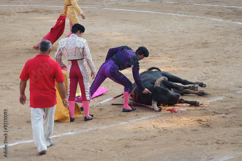 Toreadors standing next to dead bull in corrida performance in Spain