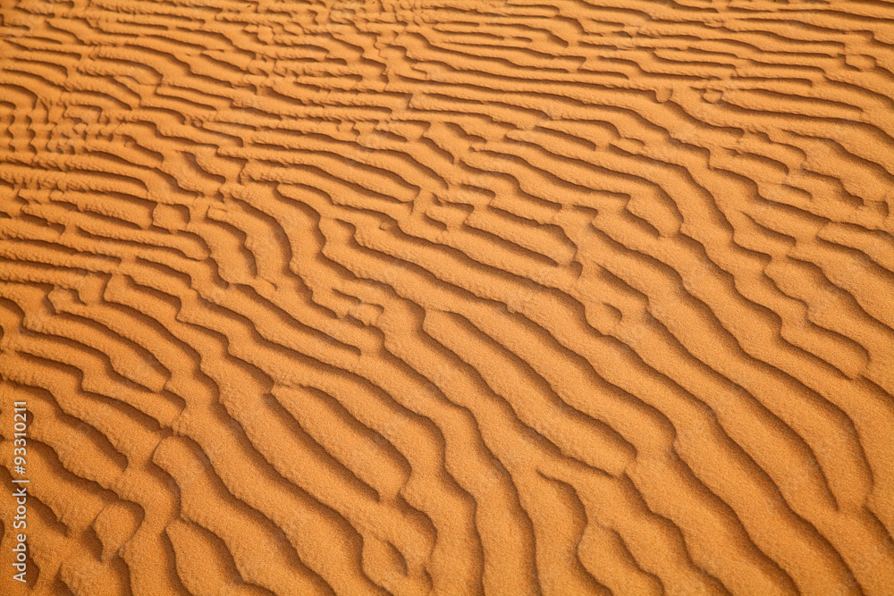 Red sand desert