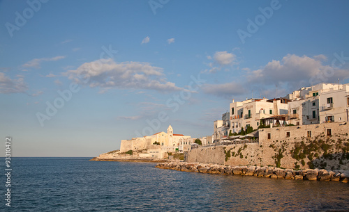 Fototapeta Naklejka Na Ścianę i Meble -  Adriatic sea