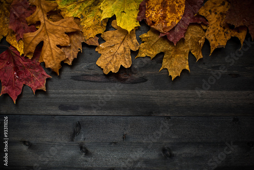 Wood autumn background © olinchuk