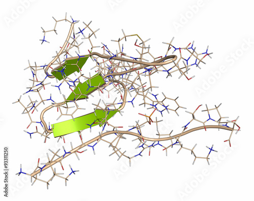 Quadro em tela Tau protein fragment. May play a role in Alzheimer's disease.