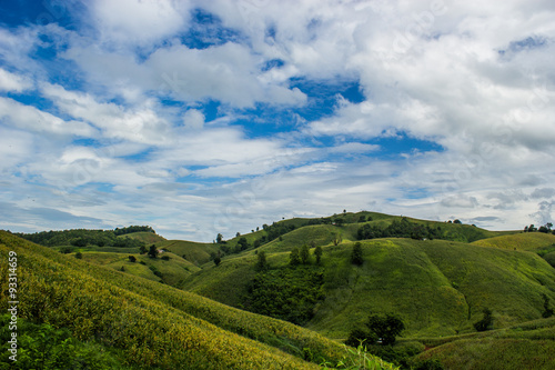 farming on hill