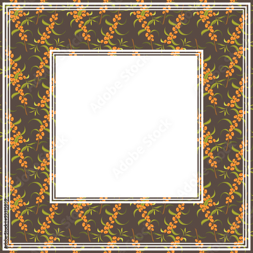 sea buckthorn border