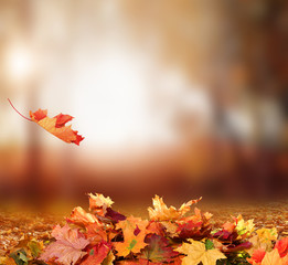 Falling Autumn Leaves background