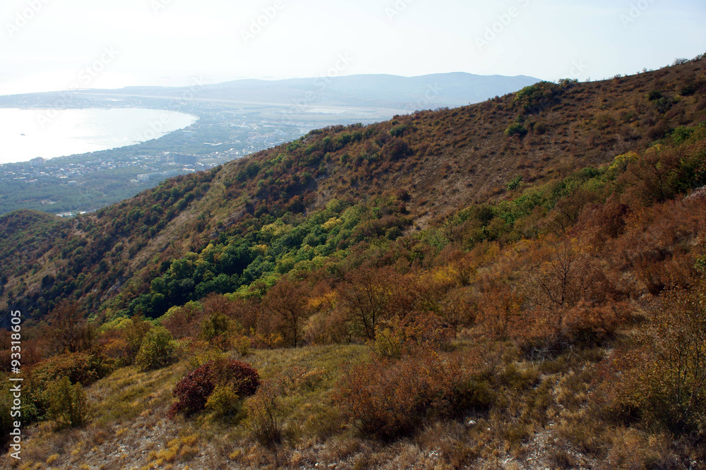 Gelendzhik, city view with mountains Gelendzhik, city view with mountains