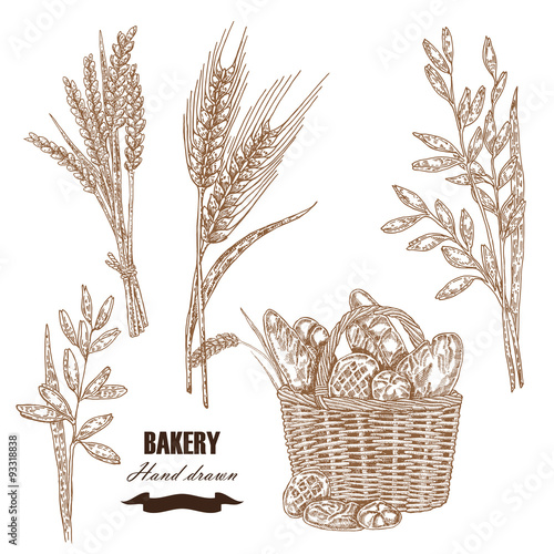 Cereals set. Hand drawn sketch illustration wheat, rye, oats
