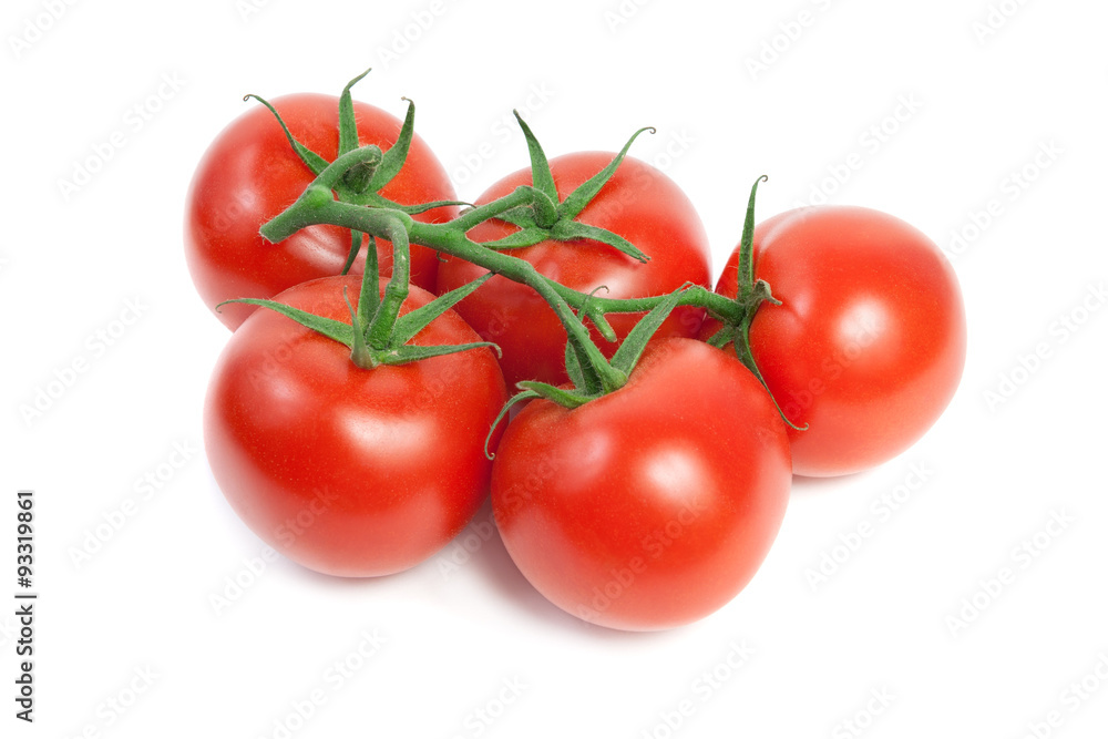 Fresh red ripe tomatoes on the vine