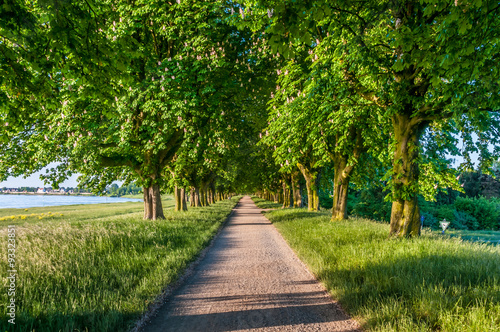 Wallpaper Mural 1903 Neuss - Rheinallee Torontodigital.ca