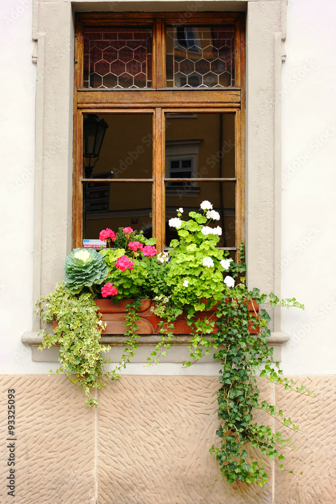 Window in Prague