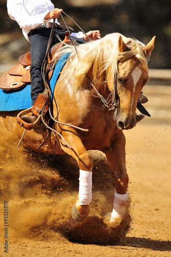The close-up view of a rider sliding a horse into the sand.