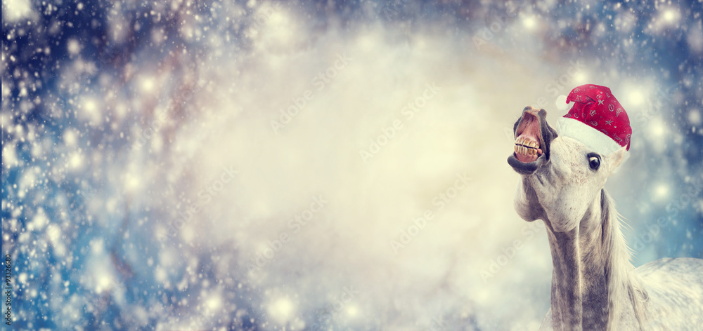 Fototapeta premium White funny Christmas horse with Santa hat smiling and looking into camera 