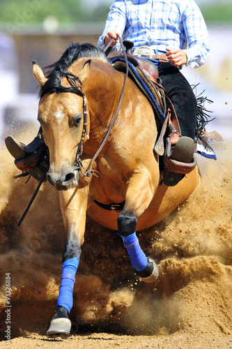 The front view of a rider stopping a horse in the sand.
