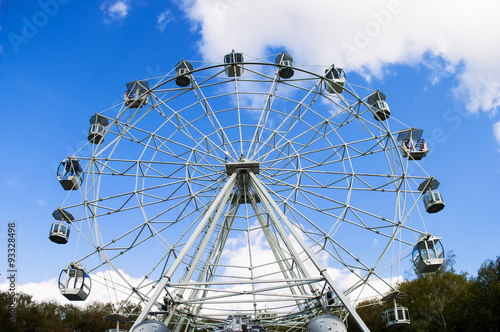 Full view of the Ferris wheel in the park